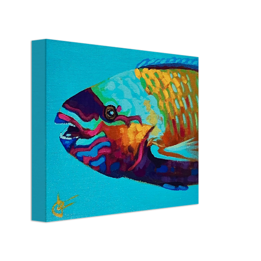 "parrotfish1" 8" x 10" Print on Canvas