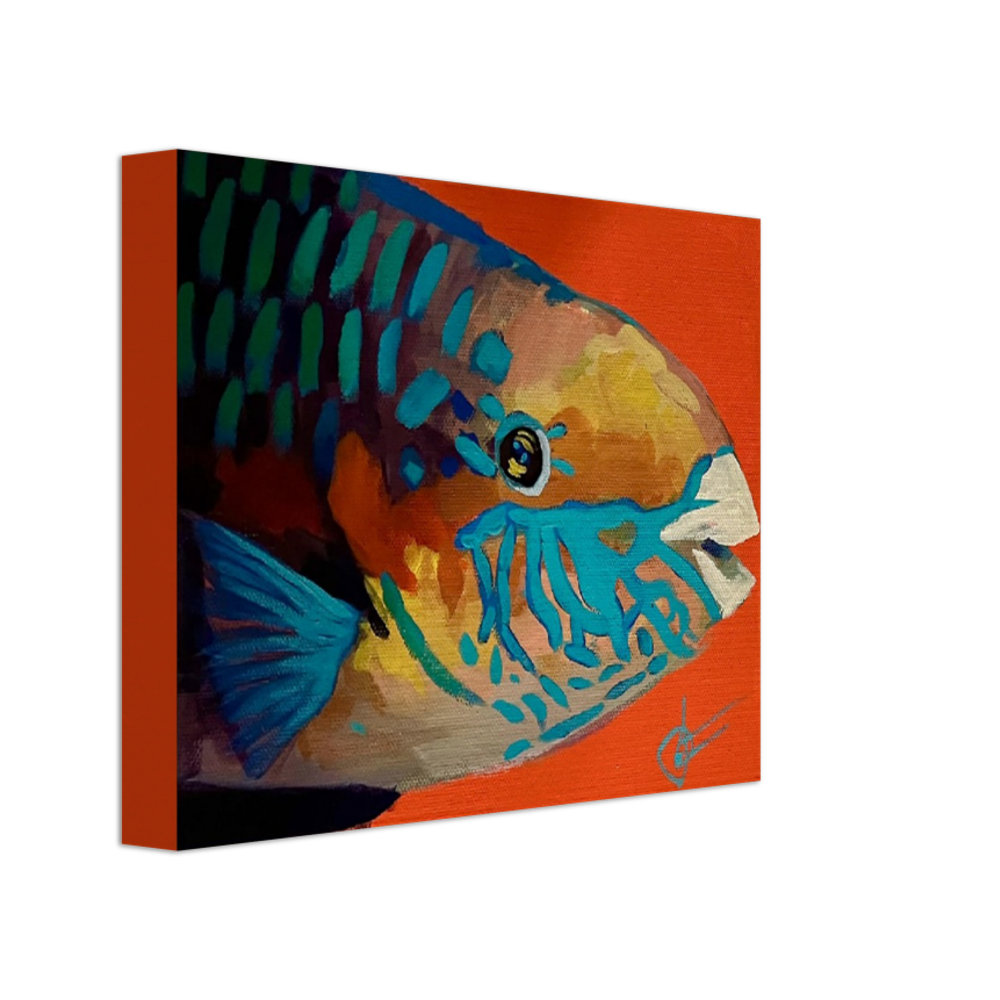"parrotfish3" 8" x 10" Print on Canvas